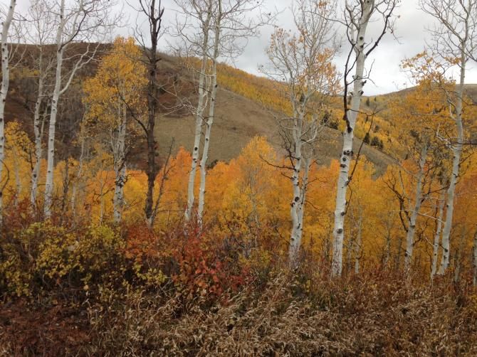 The nice thing about racing in La Ruta is that it forces me out for some big rides each fall.