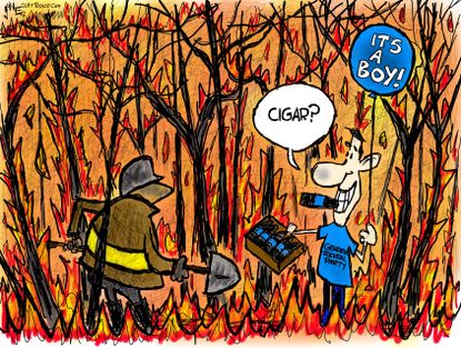Editorial Cartoon U.S. gender reveal California wildfire