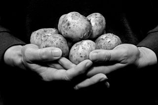 Hands cradling some potatoes