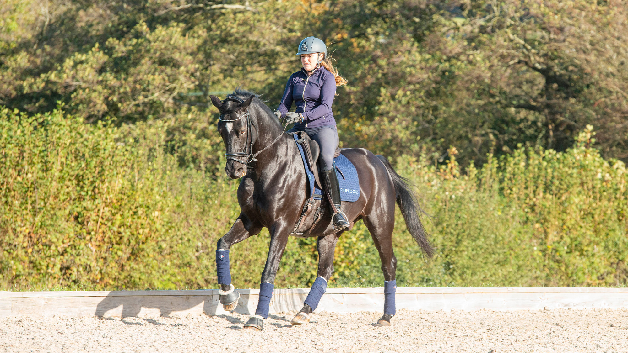 Rider on dark bay horse riding in counter canter