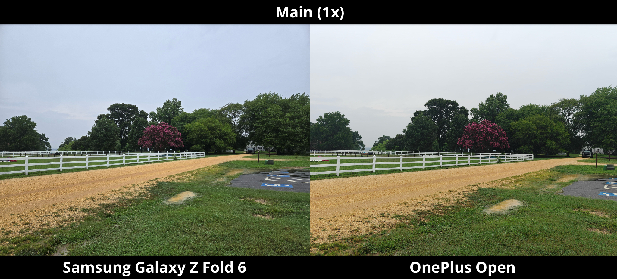 I compared the Z Fold 6 and OnePlus Open camera against Mother Nature, the results were unexpected