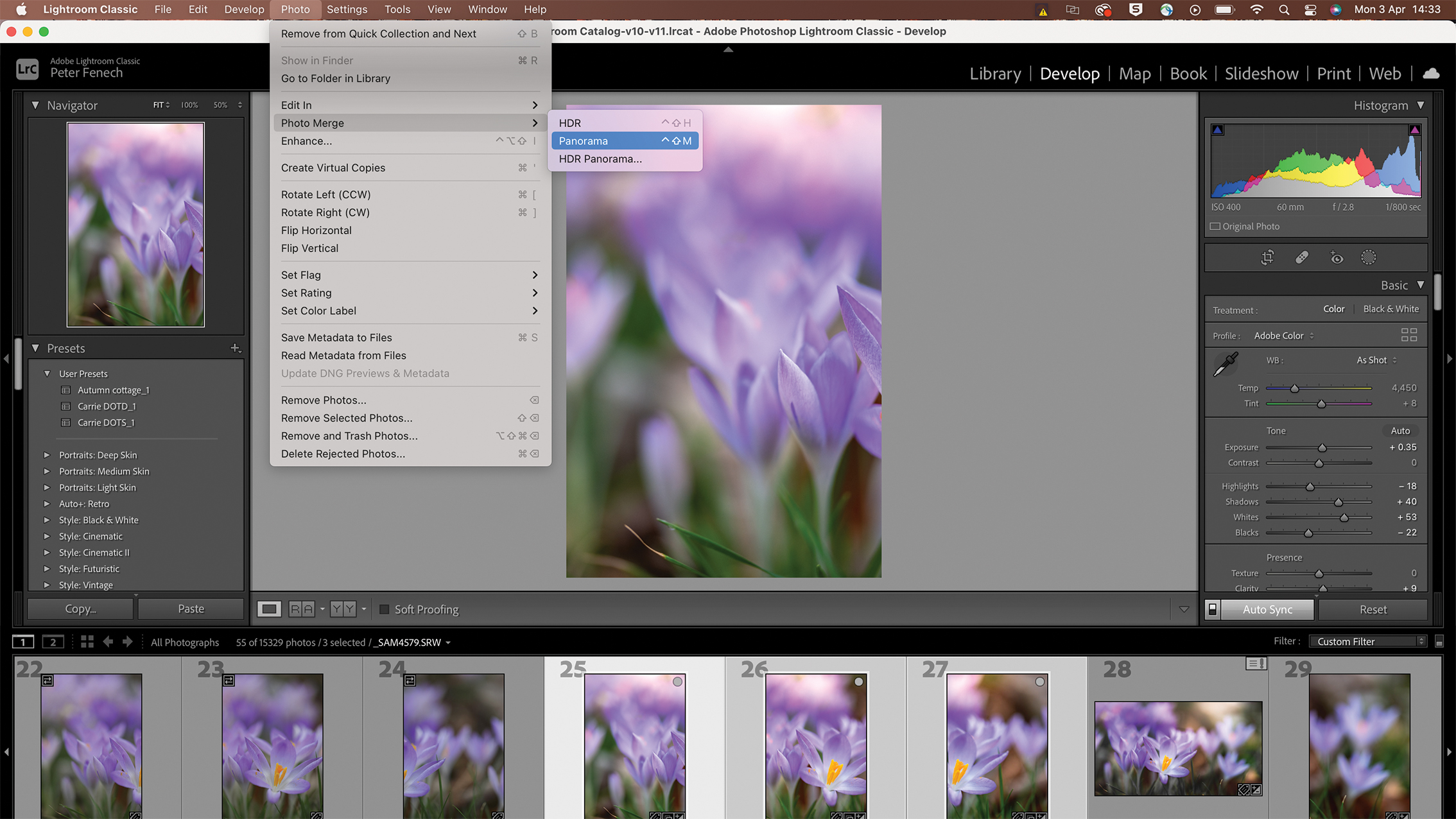A digital photo of vibrant purple flowers, likely crocuses, being edited in Photoshop. The interface shows layers and color tools