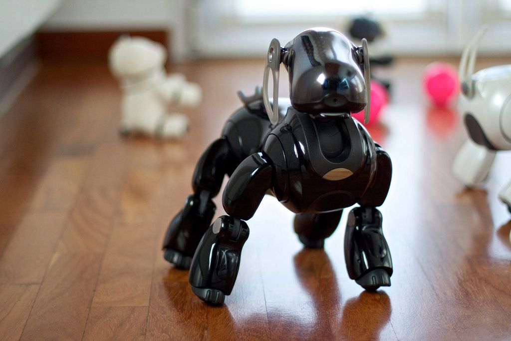 Finally, a Robot Dog That Doesn't Look Like It's Going to Kill Us All