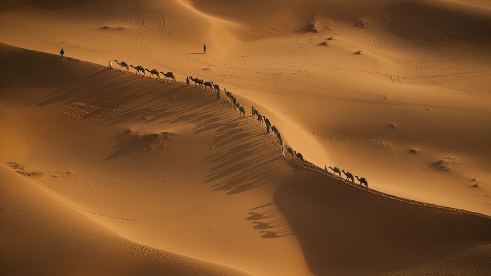 The Sahara Earths Largest Hot Desert Live Science
