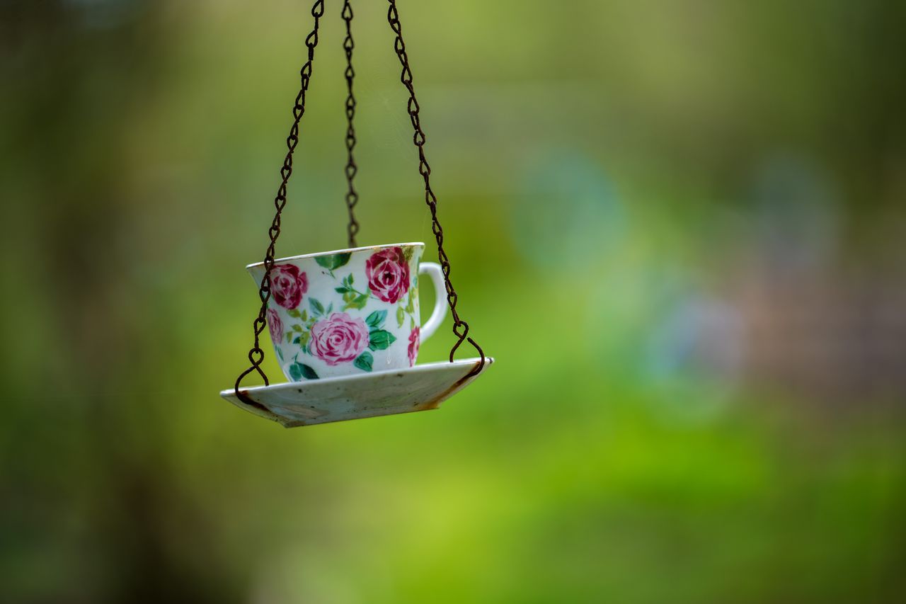 Sony FE 50-150mm f/2 G Master example shot