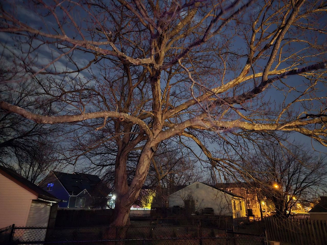 Samsung Galaxy S24 Ultra low light sample.