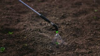 picture of herbicide being sprayed on ground