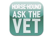 ask-the-vet.jpg