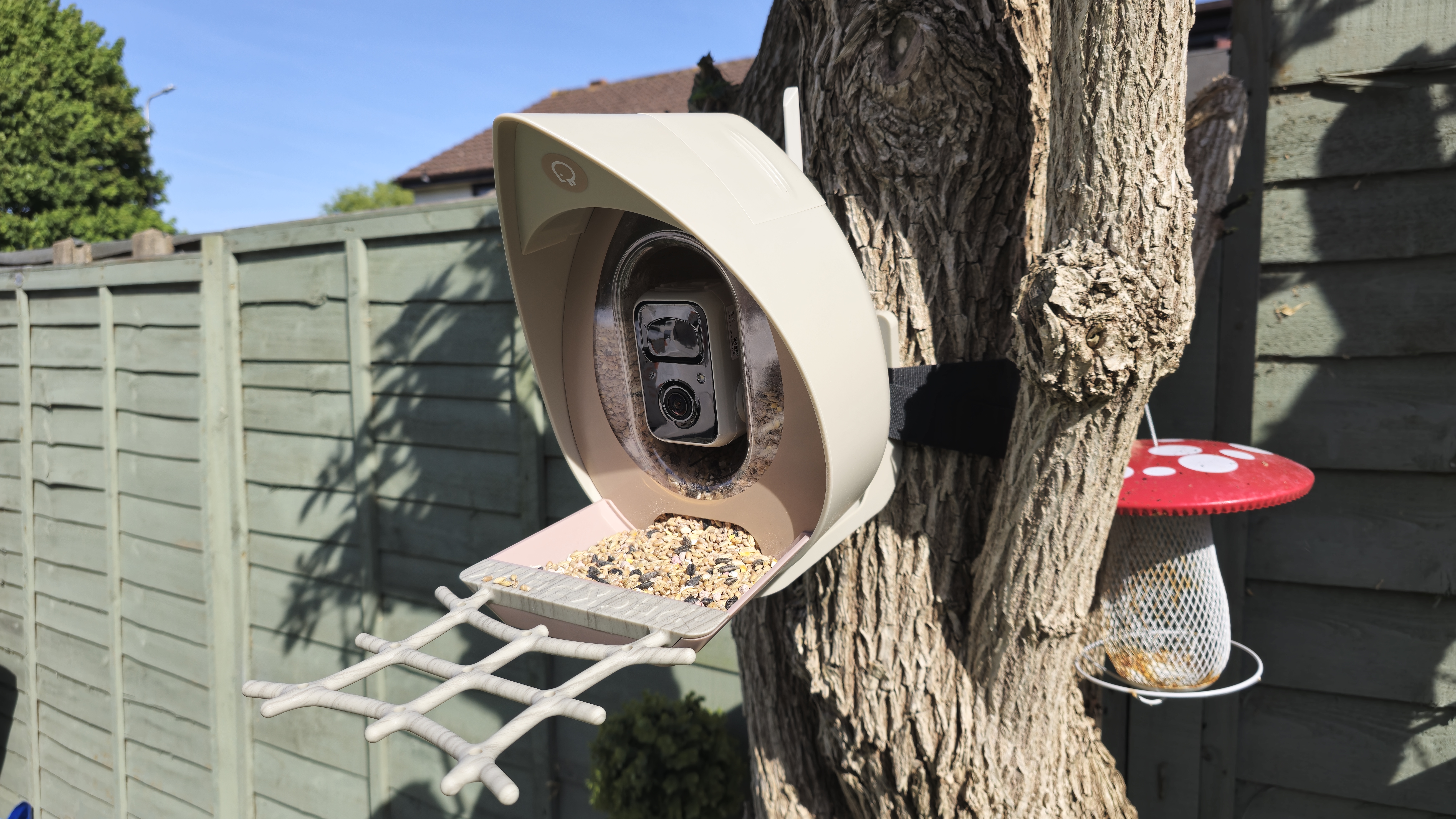 PeckPerk bird camera review