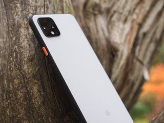 Pixel 4 XL sitting on a tree branch