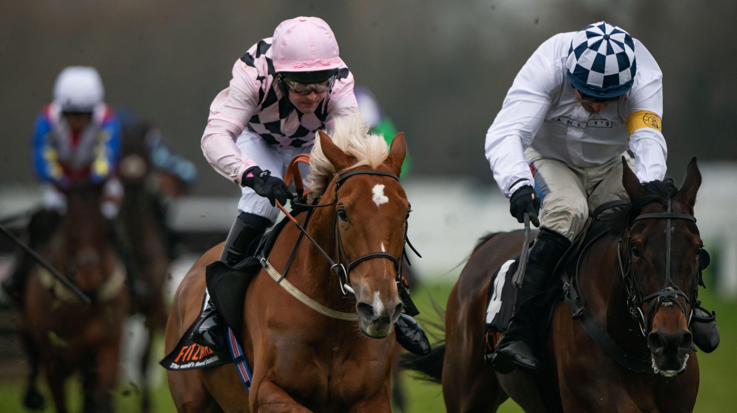 Winning racehorse Secret Squirrel in action.