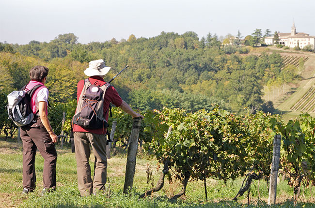 C&ocirc;tes de Bordeaux promotion