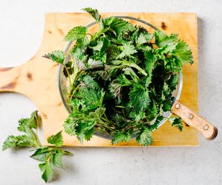 nettle leaves on a chopping board