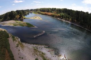 endangered rivers willamette river
