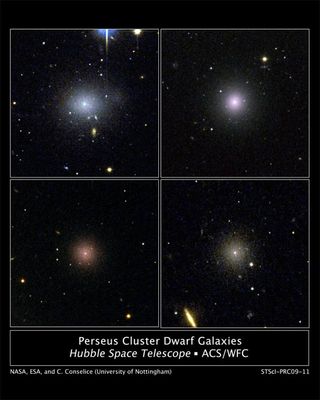Galaxies Protected by Dark Matter