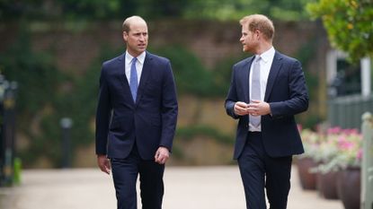 Prince Harry and Prince William