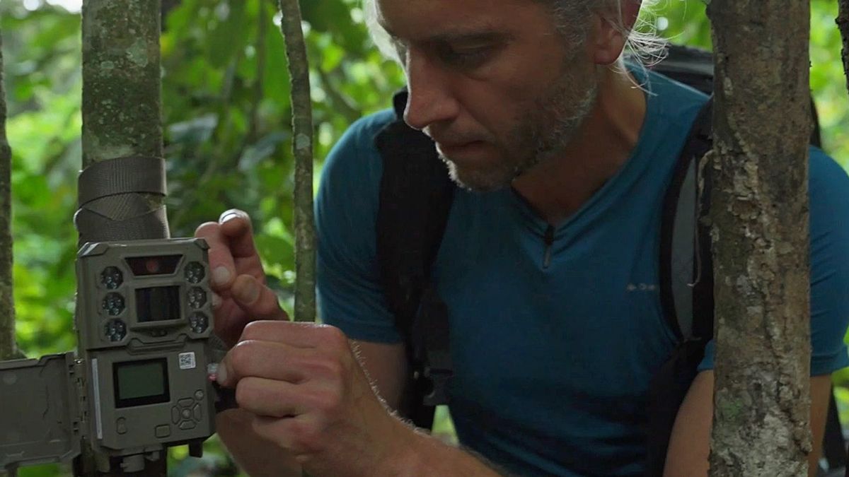 AI-enabled camera trap in Lopé National Park Gabon