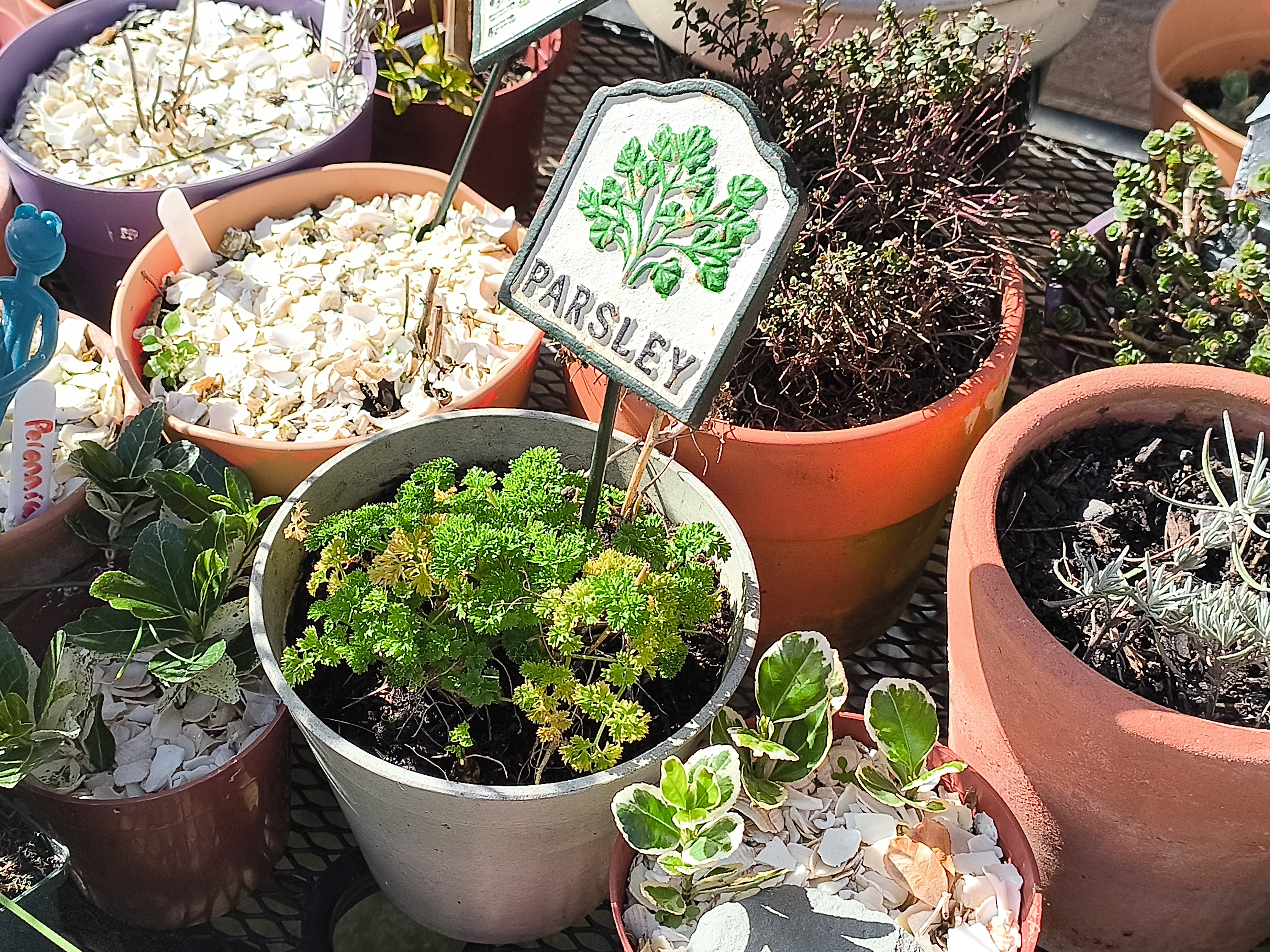 Punkt. MC03 Example Photos