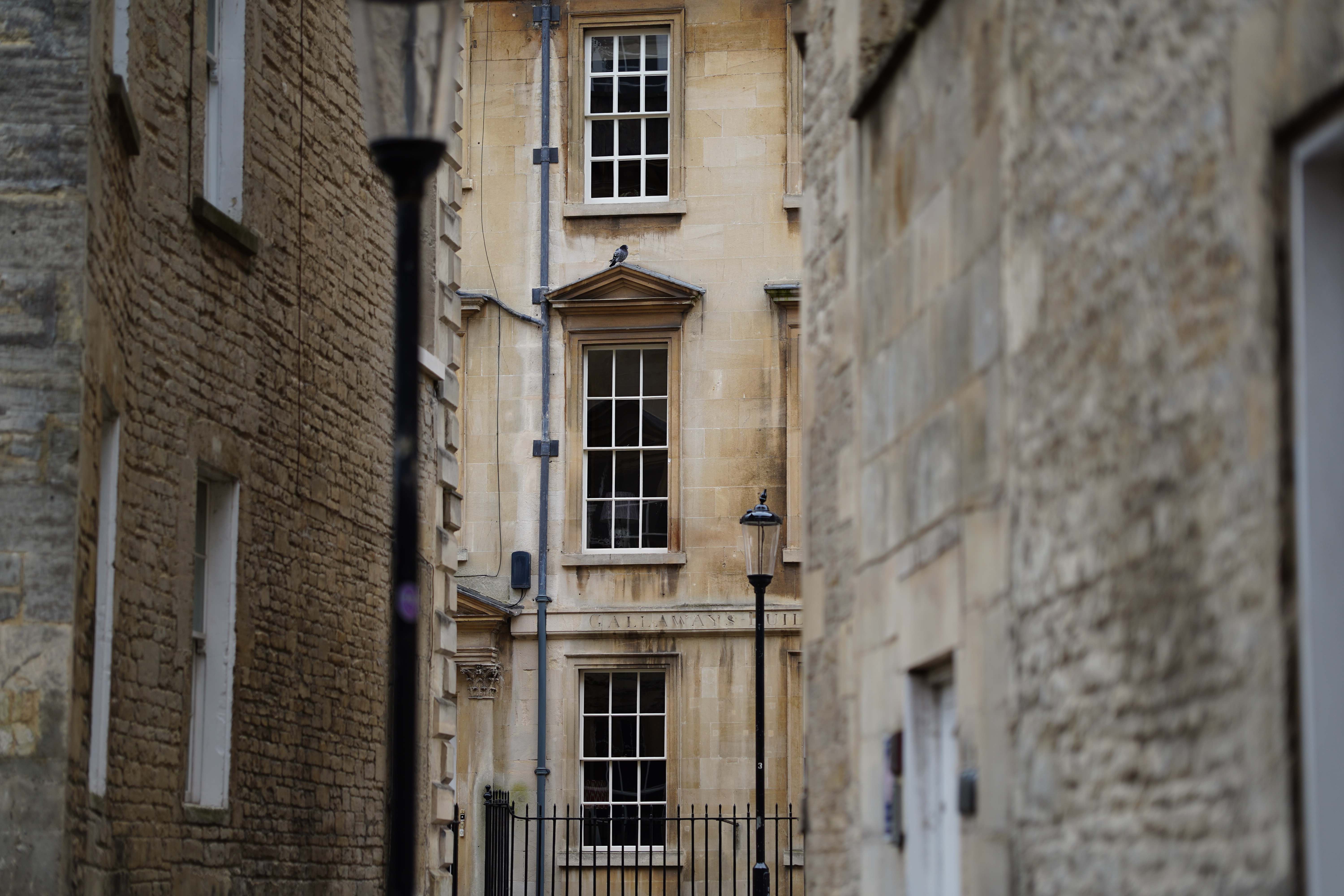 Meike AF 85mm f/1.8 SE II sample image