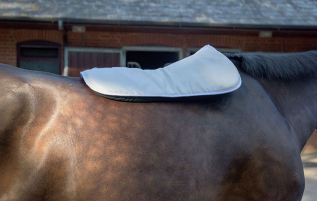 WeatherBeeta Memory Foam Comfort Half Pad review