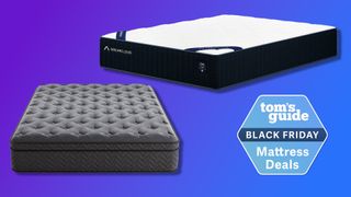 A collage showing a DreamCloud Classic Hybrid Mattress (top right) and the Dreamstage Value Hybrid Mattress (bottom) left against a blue background. In the bottom right is a Tom's Guide Black Friday Mattress deals badge