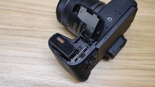 Canon EOS R8 Camera