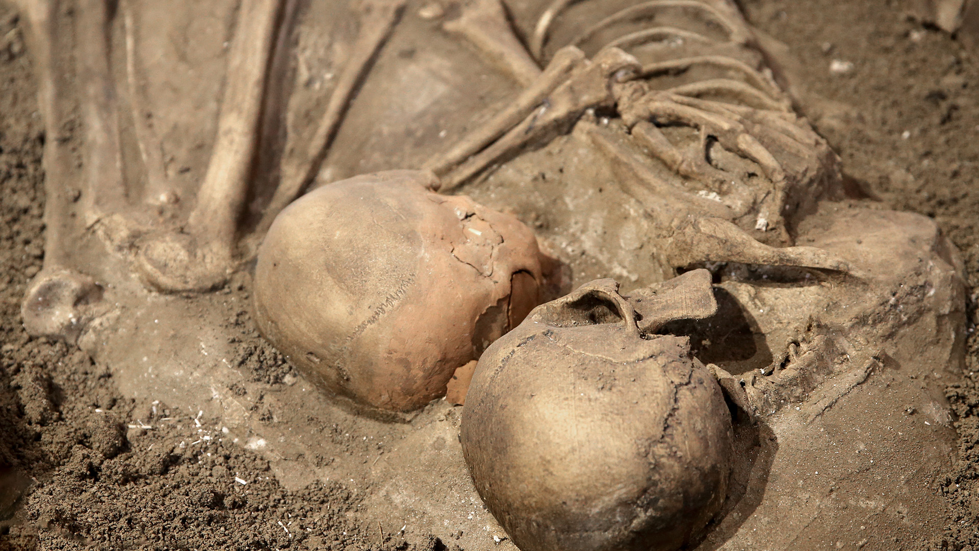 Two half-unearthed brown skeletons lie next to each other in the dirt. 
