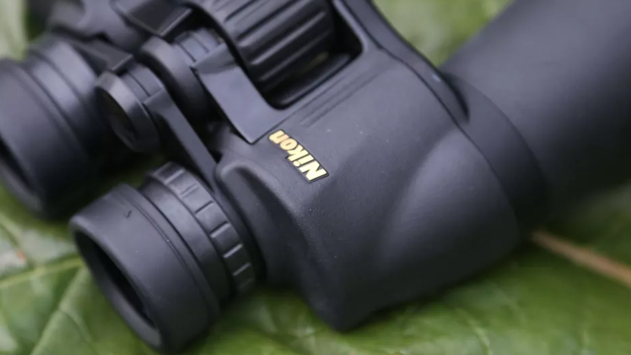 Review photo of the Nikon 10x50 Aculon A211