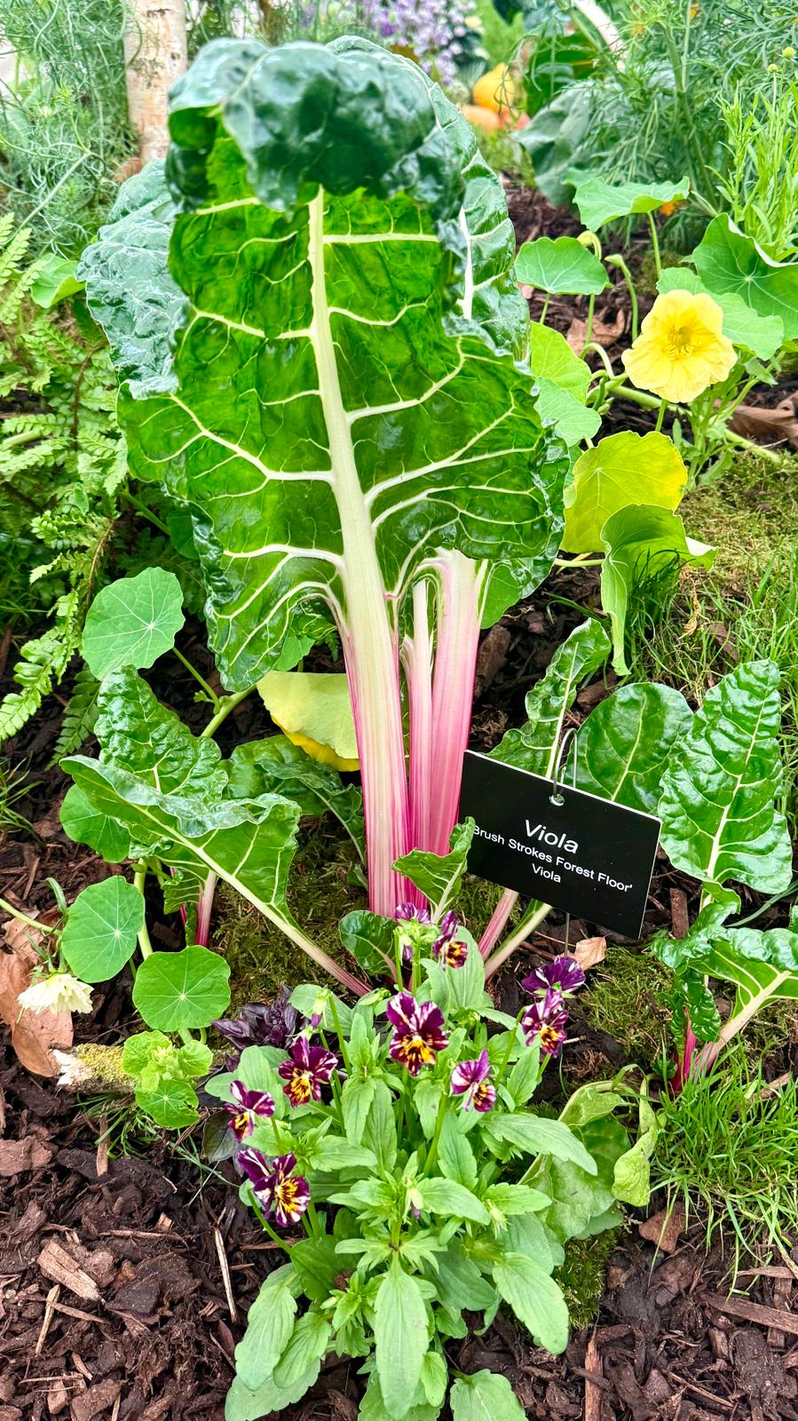 Details from the She Grows Veg stand called Feast