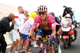 MALAUCENE FRANCE JULY 07 Rigoberto Urn of Colombia and Team EF Education Nippo during the 108th Tour de France 2021 Stage 11 a 1989km km stage from Sorgues to Malaucne Mont Ventoux 1910m Public Fans LeTour TDF2021 on July 07 2021 in Malaucene France Photo by Michael SteeleGetty Images