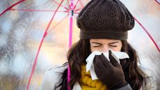 A sick person blowing their nose.