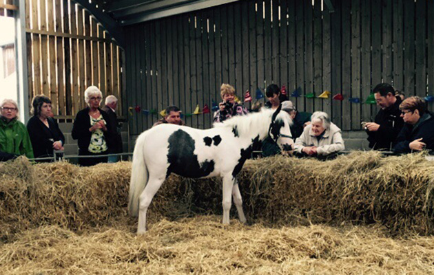 Hundreds gathered for the open day