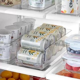 The Container Store kitchen storage plastic boxes for pantry and fridge organization 