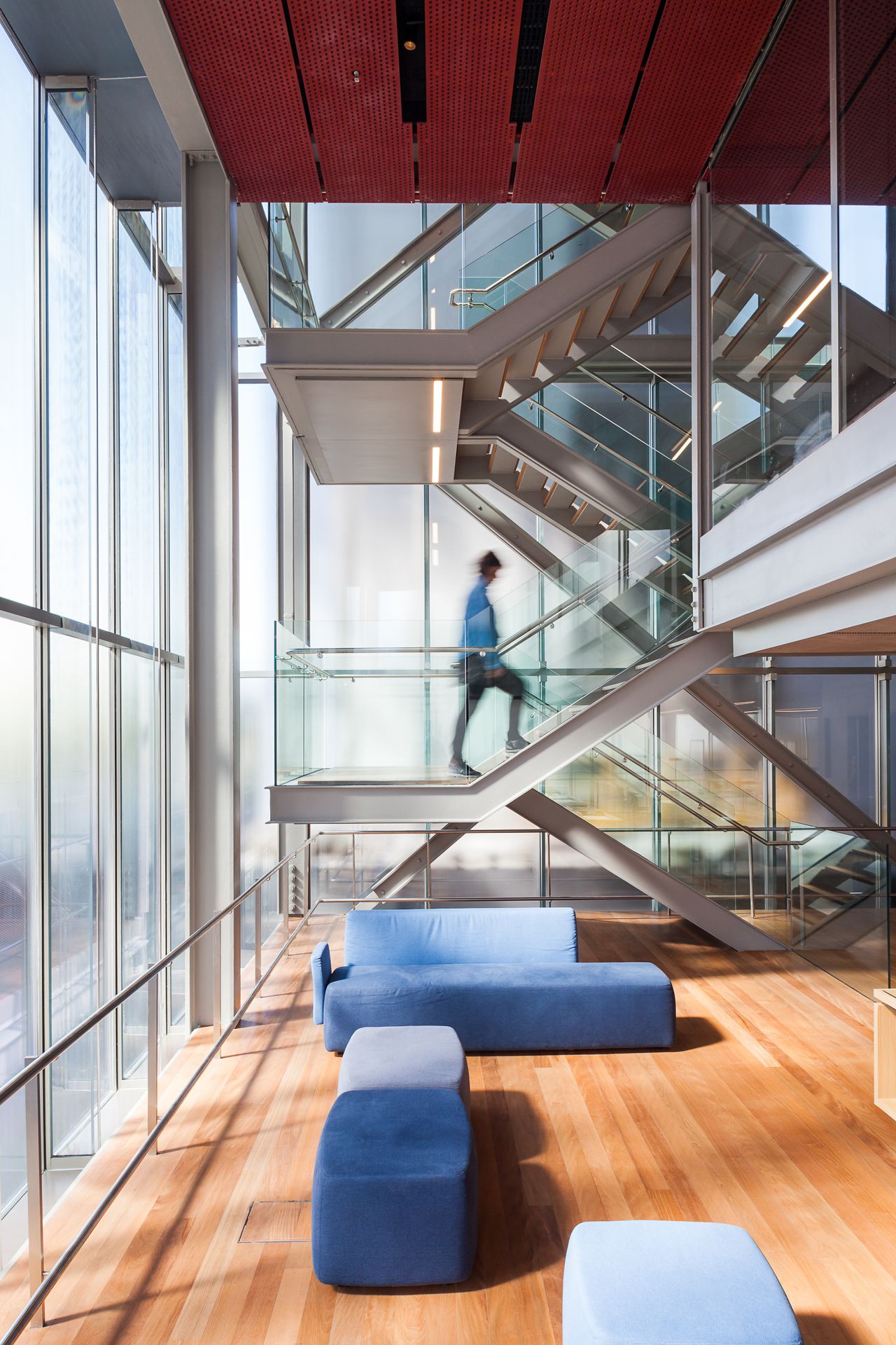 A sleek, glass, wood, and steel building houses a minimalist gallery filled with light and soft, velvety baby blue furnishings.
