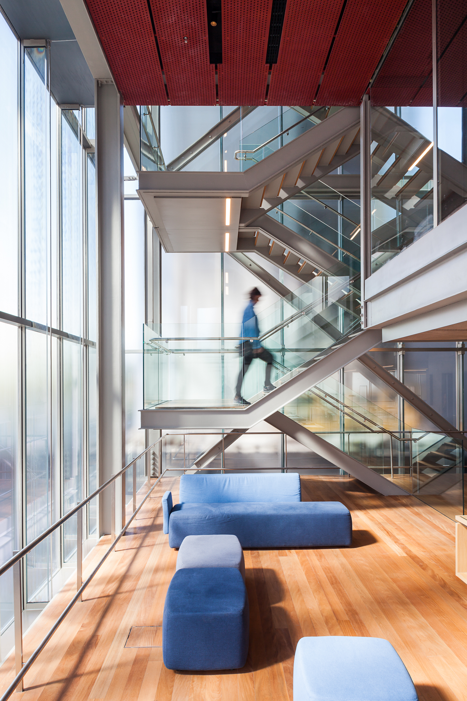 A sleek, glass, wood, and steel building houses a minimalist gallery filled with light and soft, velvety baby blue furnishings.