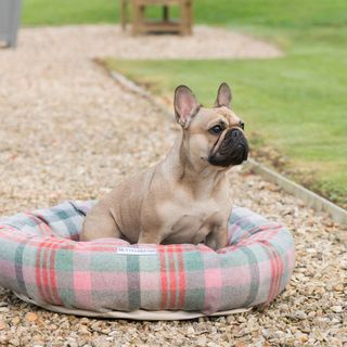 Luxury Tweed Donut Dog Bed – Mutts & Hounds