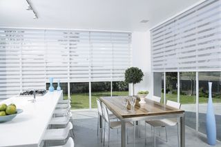 White blinds on doors in an extension with decorative indoor tree and modern glass top table