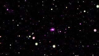 A wide-field image of the Spiderweb galaxy as seen in optical and X-ray light.
