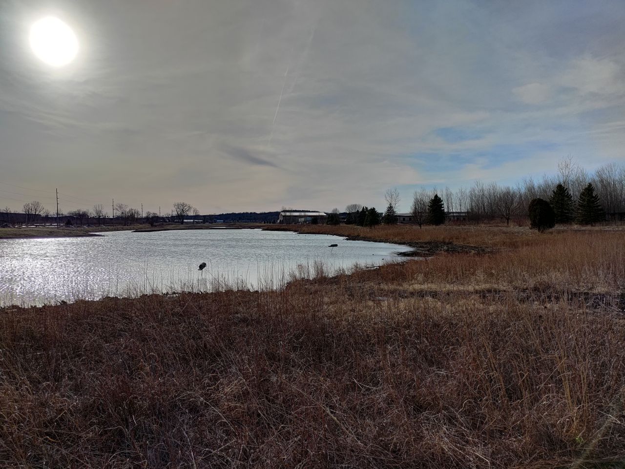 Asus ROG Phone 5 wide-angle camera sample