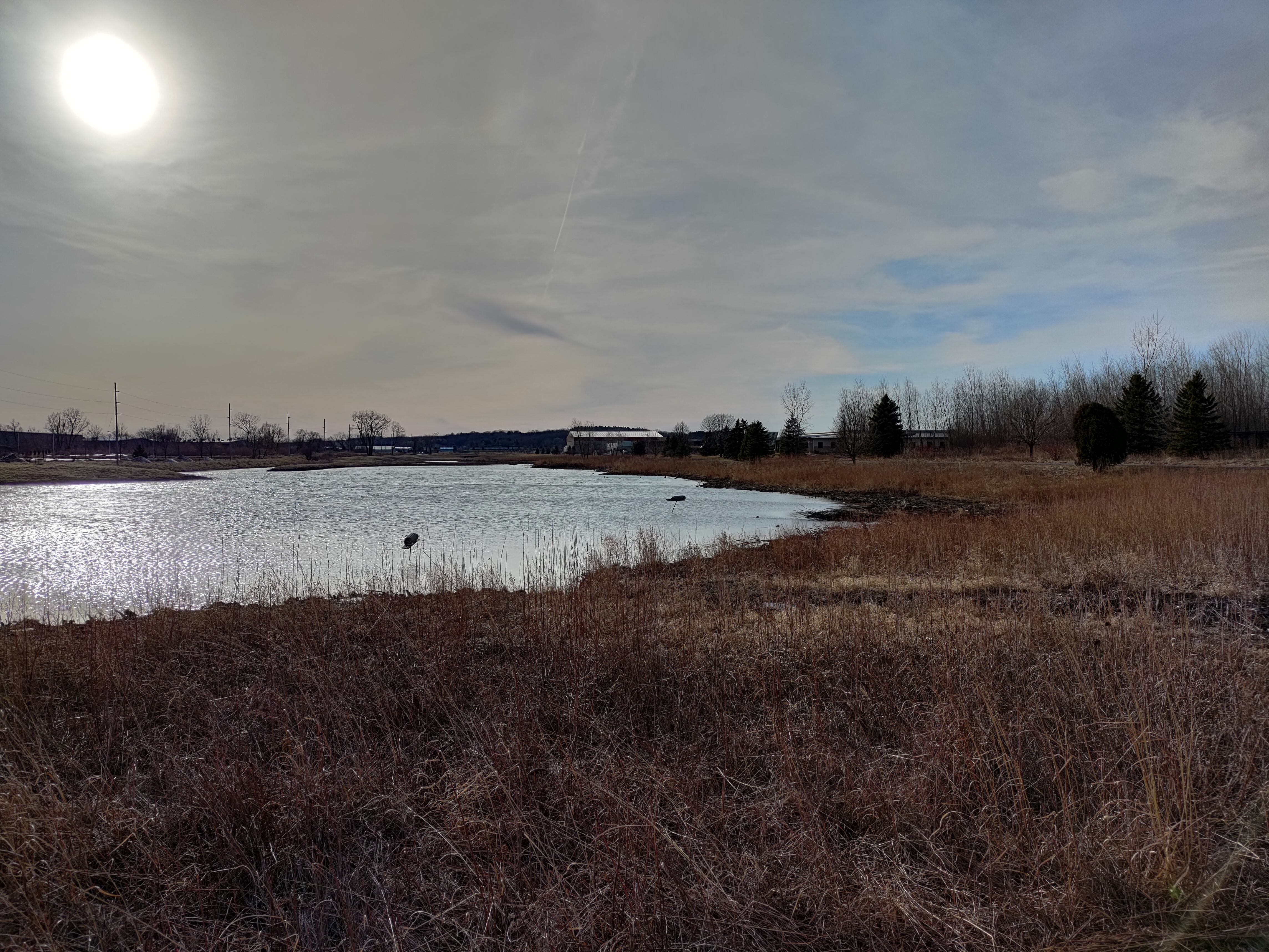 Asus ROG Phone 5 wide-angle camera sample