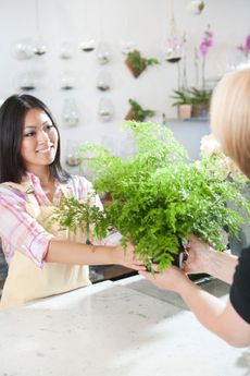 Florist Handing Over Green Plant To A Lady