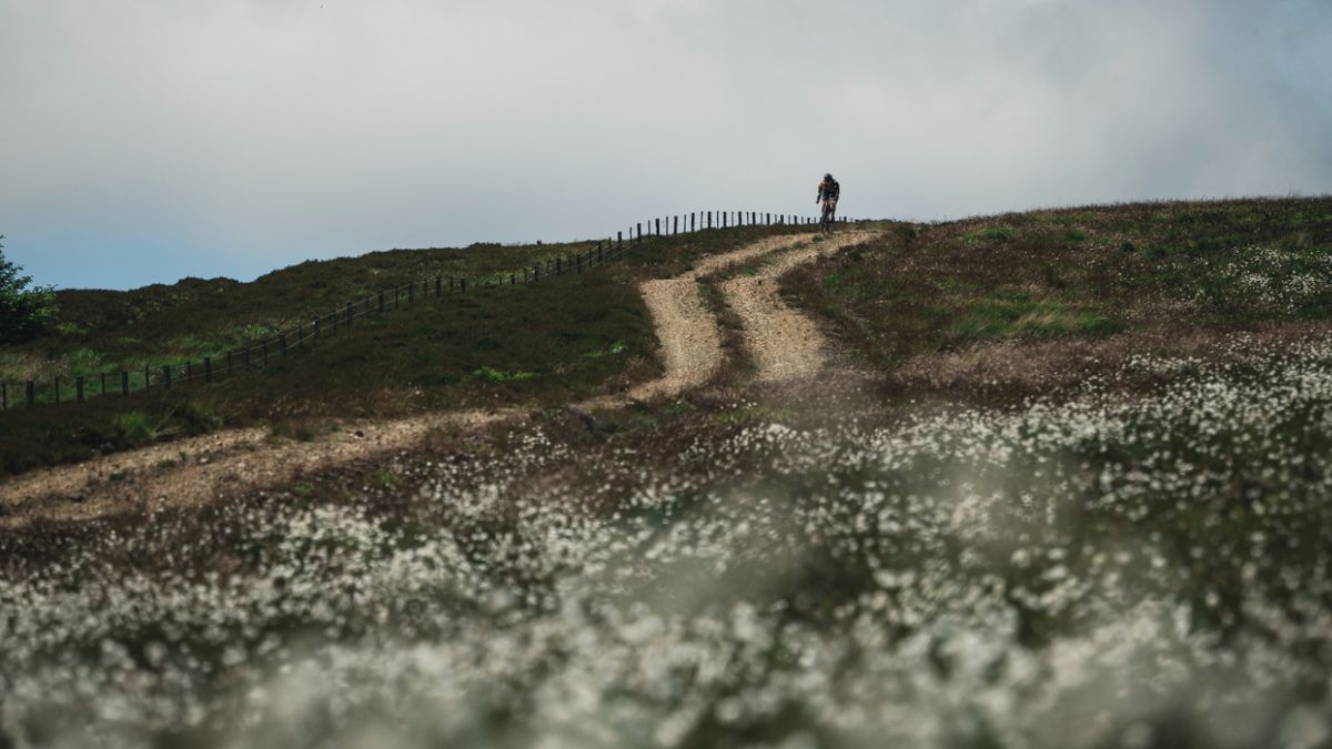 A cyclist rides down a gravel track surrounded in white flowers