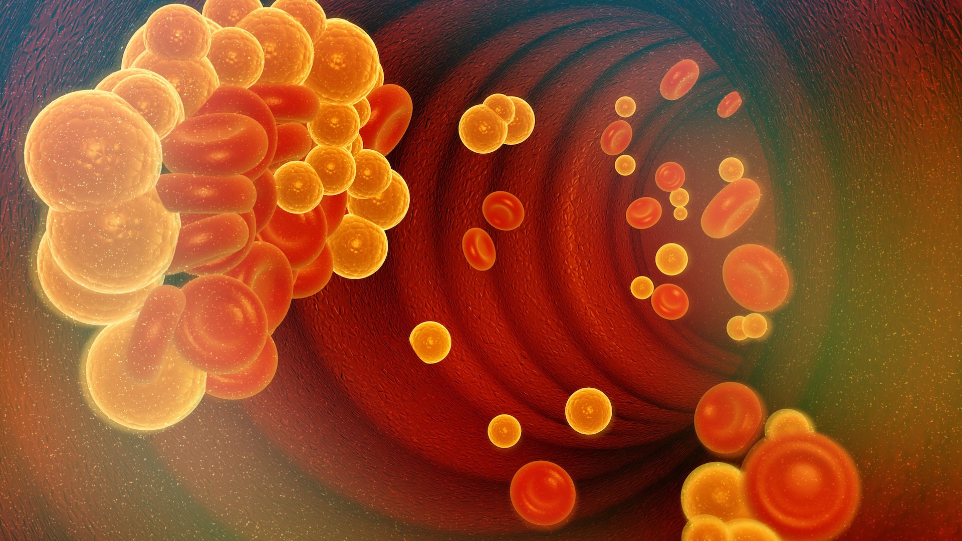 an illustration of cholesterol in the bloodstream