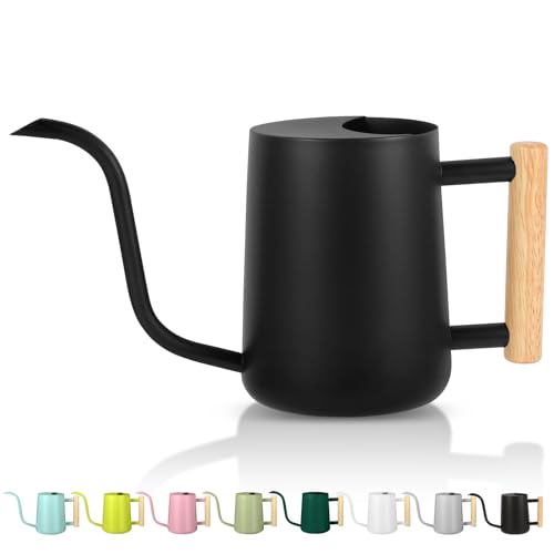 Gukjob Plant Watering Can,35oz Metal Watering Can,stainless Steel Indoor Plants With Long Curved Spout,small Bonsai Outdoor Garden Modern Decorative(black)