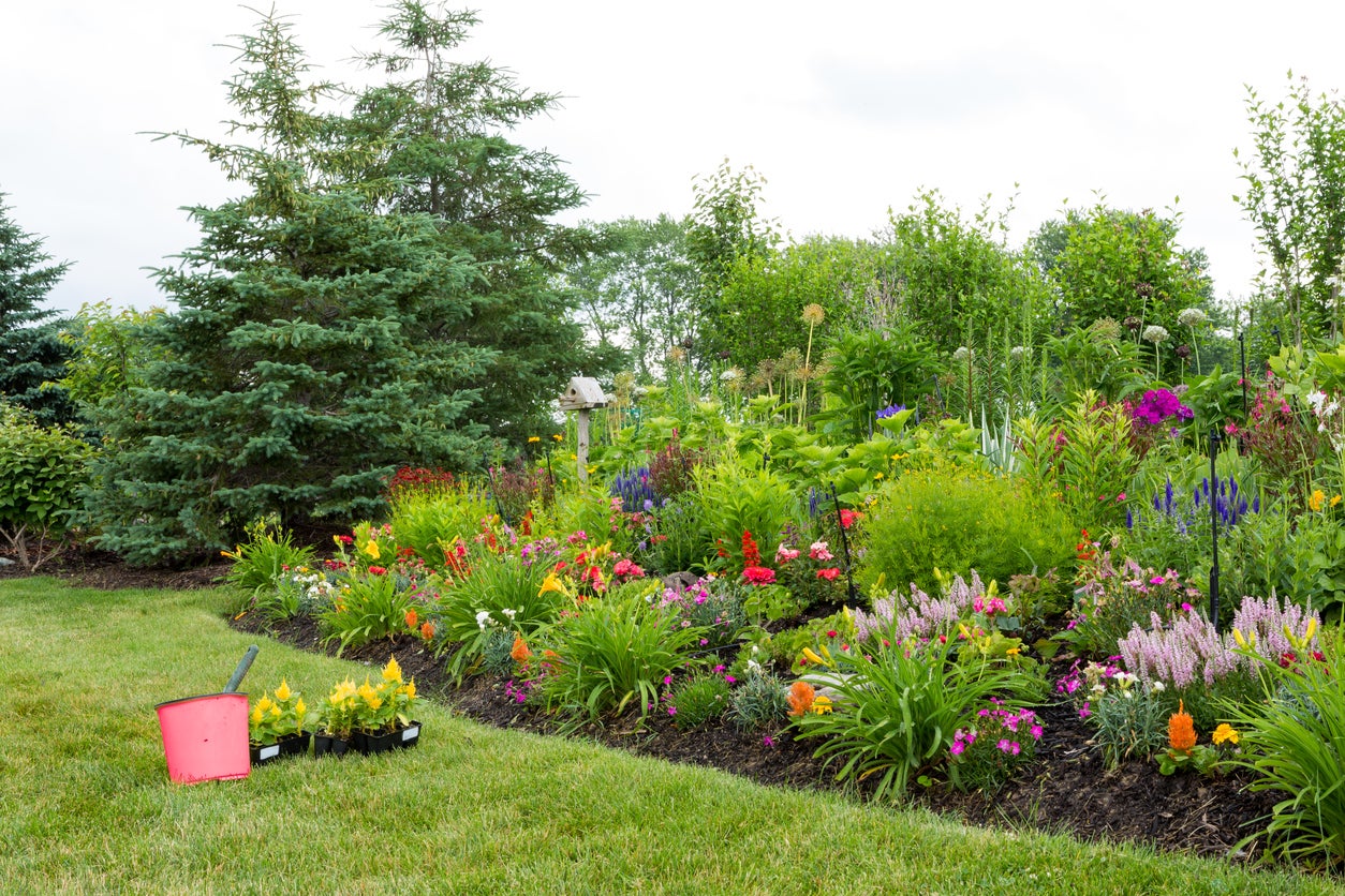 Good Plants For Berms: What To Grow On A Berm | Gardening Know How