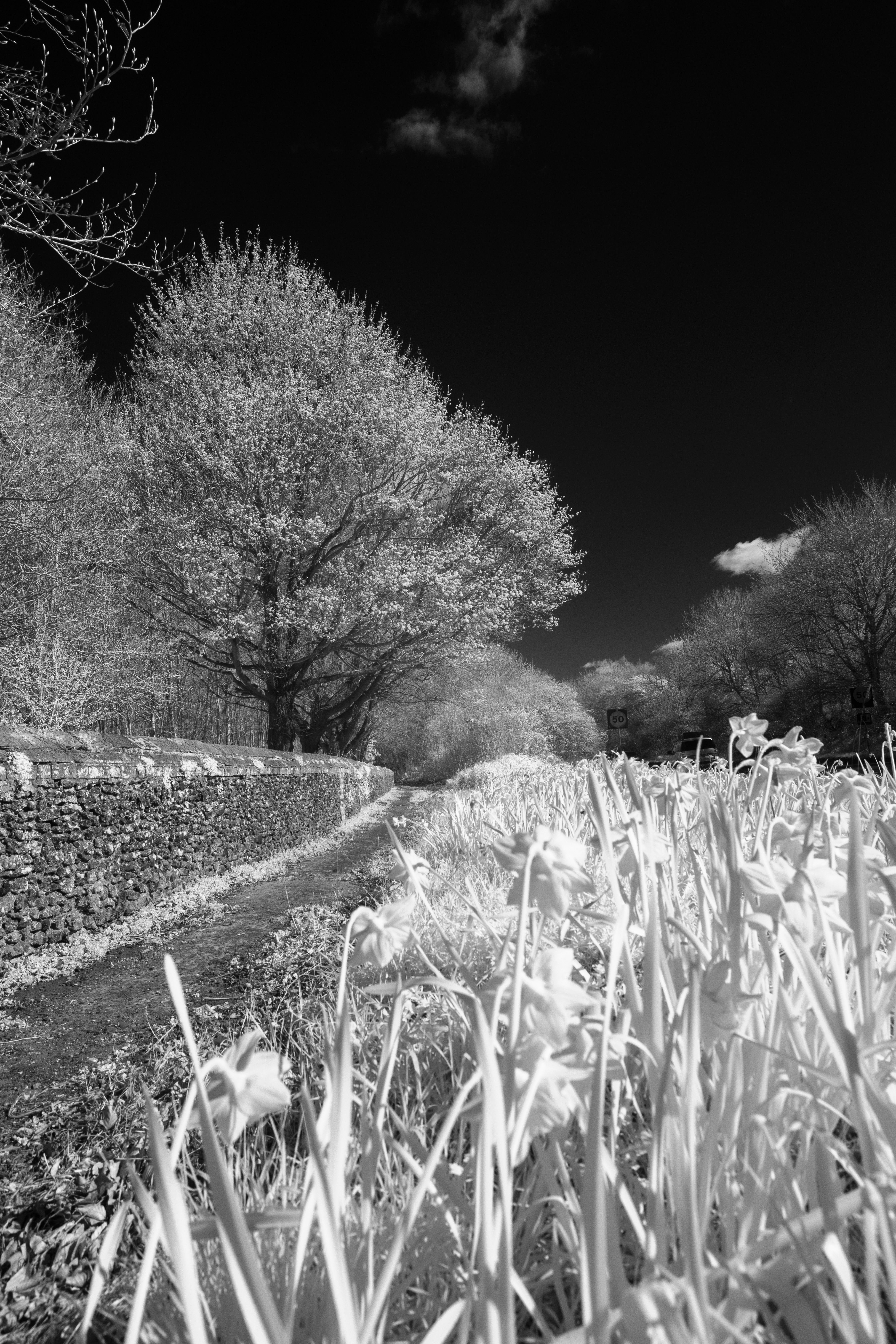 ICE Infrared Filter HB760 Test Shot