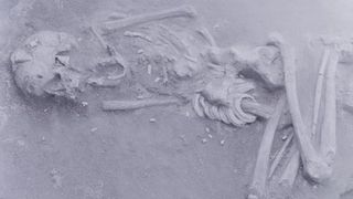 A partially excavated human skeleton.
