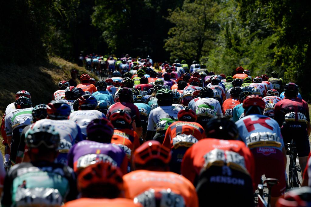 A view of the peloton on stage 11