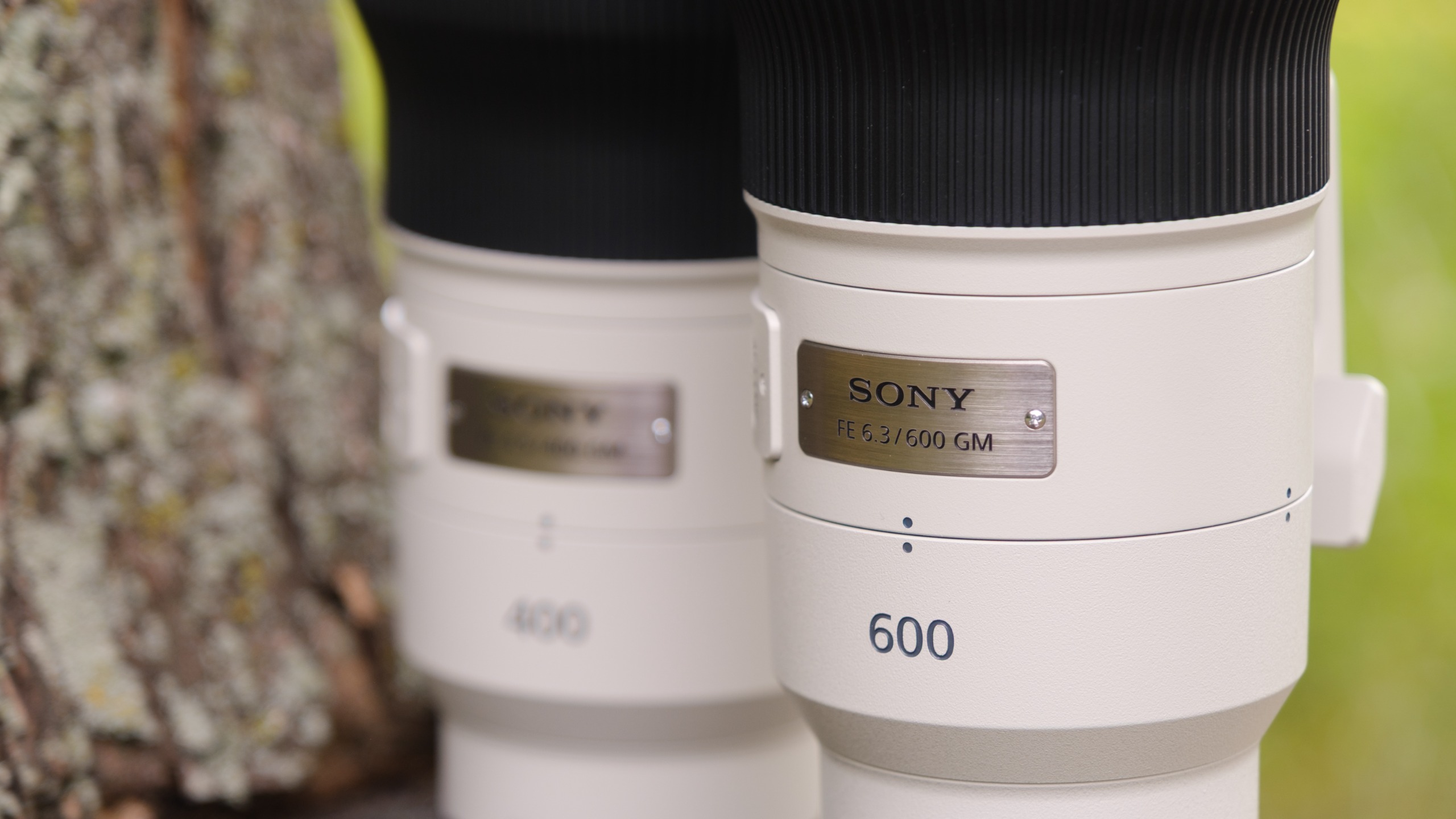 The Sony FE 600mm f/6.3 GM OSS photographed outdoors