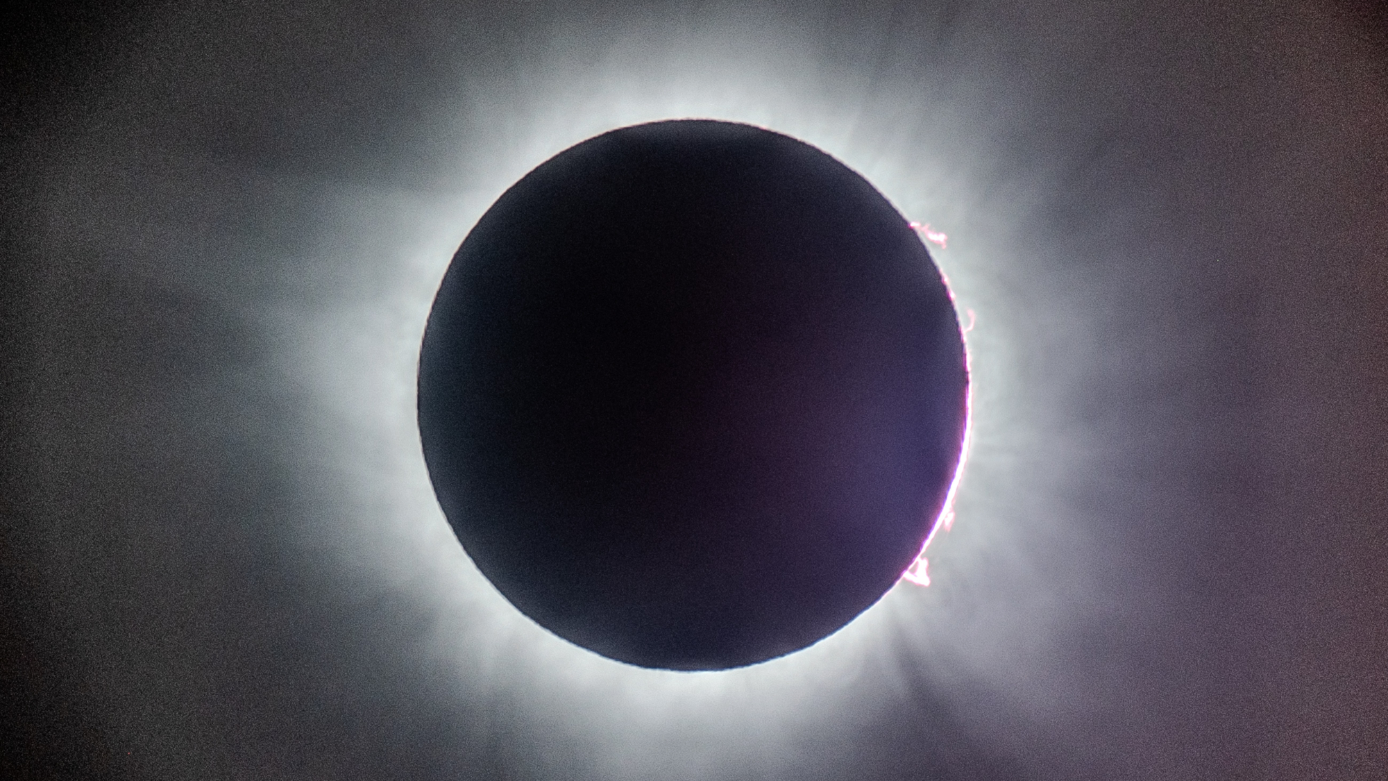 close up view of the sun during totality shows a white halo streaming out from the sun and towards the edge are vibrant pink tendrils.